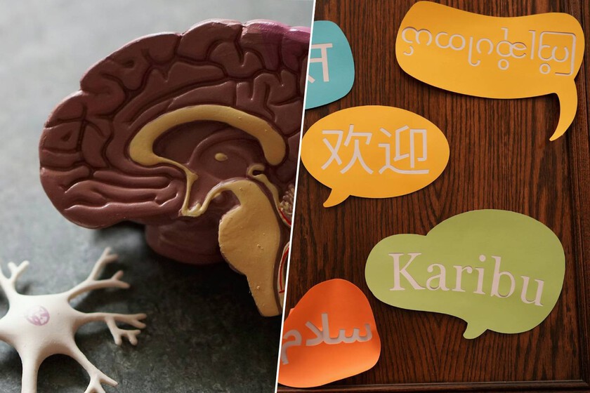 Para entrar al mejor «gimnasio mental» del mundo no necesitas entrada: sólo idioma

 – El diario andino