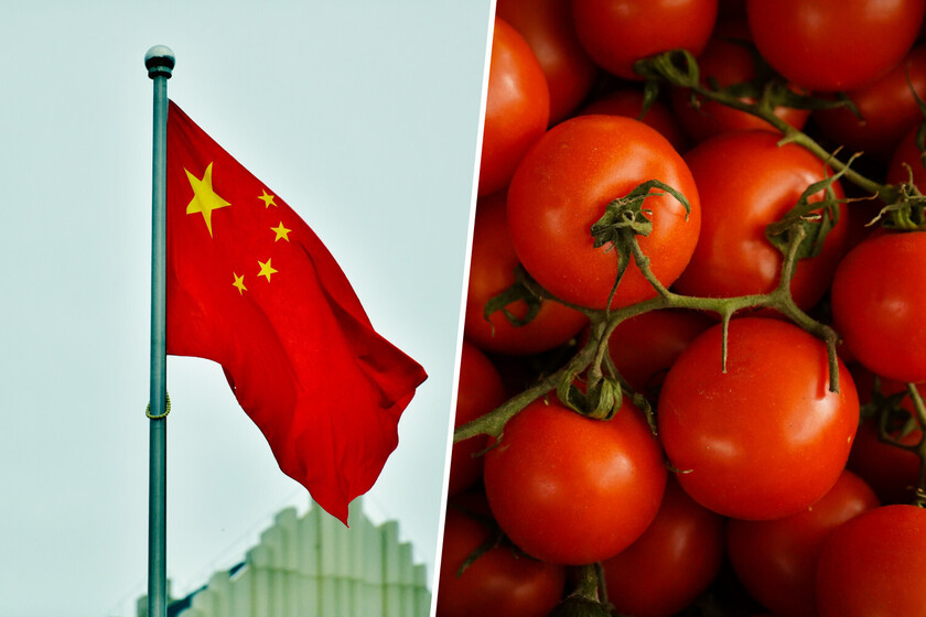Italia importa desde hace años su famosa pasta de tomate «italiana» de China. Y ahora China tiene un problema.

 – El diario andino