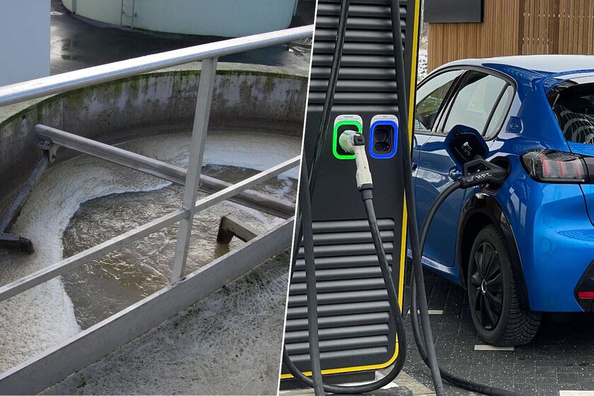 Mientras esperamos baterías de estado sólido, la Universidad de Córdoba tiene una idea para el coche eléctrico: la caca humana

 – El diario andino