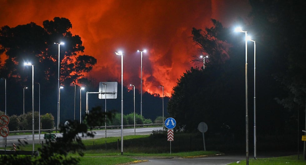 Ezeiza: Se registra fuerte explosión en polo industrial cercano al principal aeropuerto de Argentina | último | MUNDO

 – El diario andino