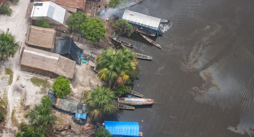 The Community Shield: Exlíder alvarenga que convirtió a su comunidad en el ‘santuario’ definitivo para financiar el oro ilegal en Loreto | POLÍTICA

 – El diario andino