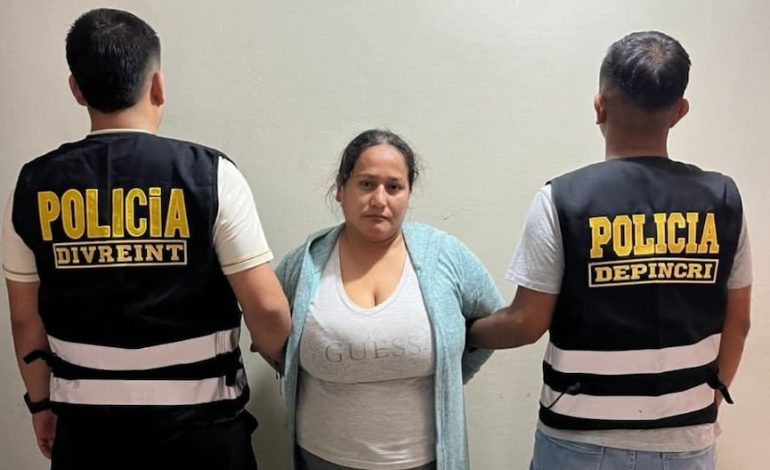 Ica: Dan 9 meses de prisión preventiva a mujer acusada de secuestrar a recién nacido del hospital | Lo último | PERÚ

 – El diario andino