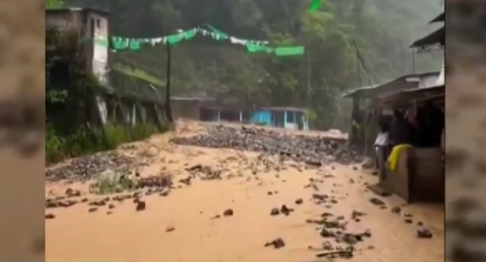 Huaico de gran magnitud interrumpe el tránsito en la ruta Huánuco-Tingo María | Lo último | PERÚ

 – El diario andino