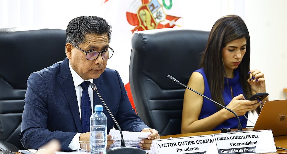 Avanza País rechaza ampliación de Reinfo: «Crea condiciones que favorecen la continuidad de actividades ilícitas» | POLÍTICA

 – El diario andino