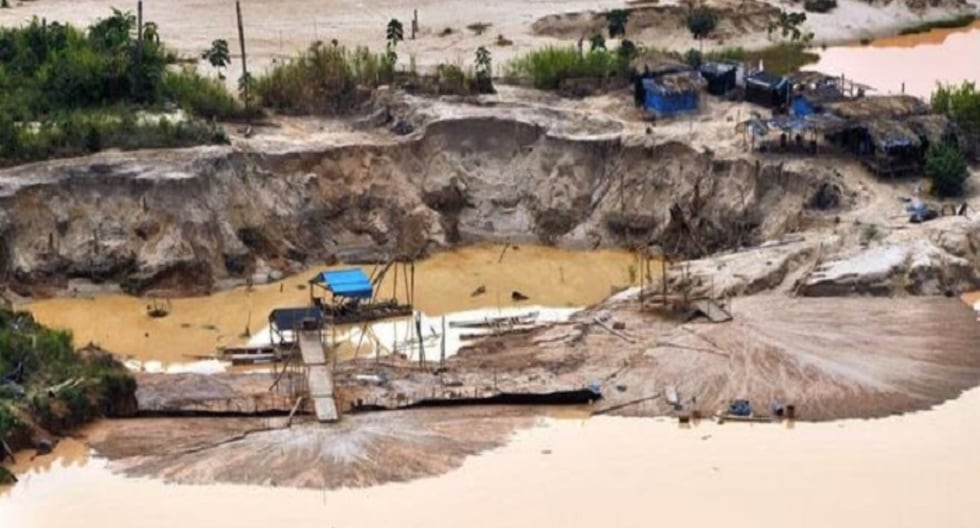 Sindicatos piden al Congreso no ampliar Reinfo: «Fomenta la ilegalidad y pone en riesgo la industria y las exportaciones» | POLÍTICA

 – El diario andino