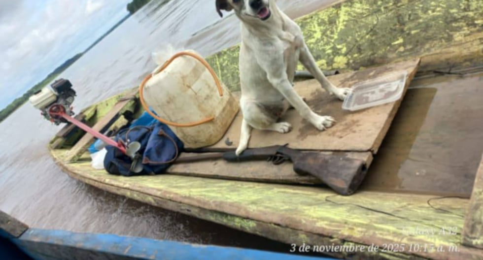 Río Ucayali: encontraron la embarcación del hombre desaparecido, pero a bordo solo se encontró su perro | PERÚ

 – El diario andino