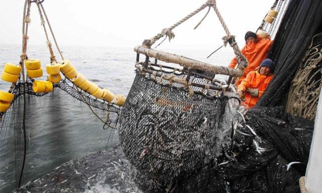 Confirman que la pesca es compatible en áreas protegidas

 – El diario andino