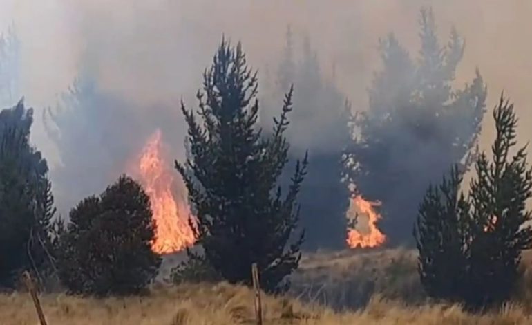 Ayacucho: incendio forestal destruye más de 400 hectáreas de vegetación en Vinchos | Lo último | PERÚ

 – El diario andino