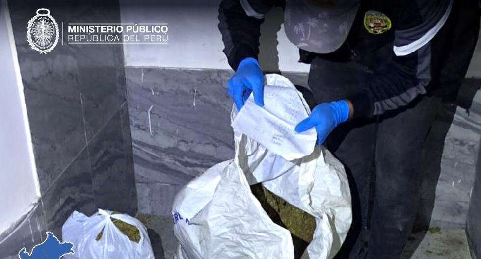 Tacna: Detienen a ocho personas y aseguran más de 15 kilos de marihuana en último operativo | PERÚ

 – El diario andino