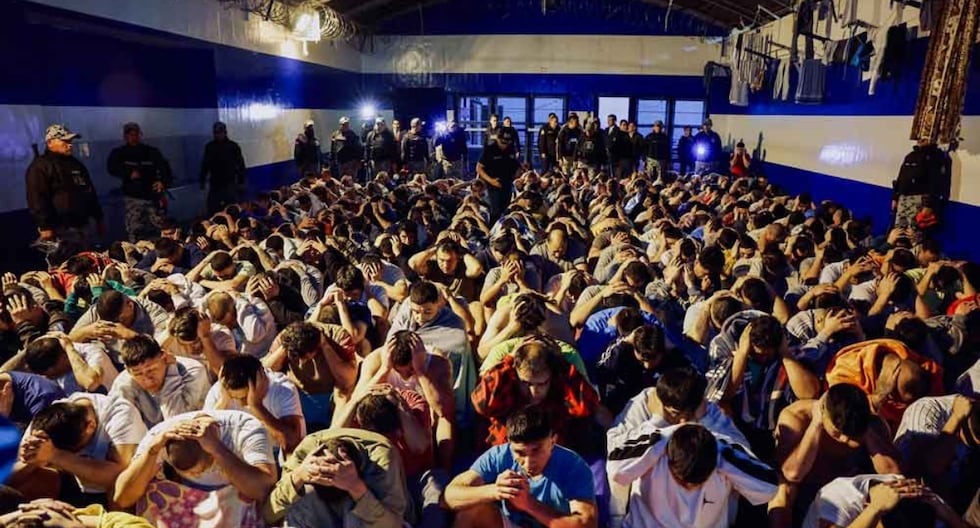 ¿Por qué la información de los teléfonos móviles incautados en las cárceles no fue analizada por inteligencia? | PERÚ

 – El diario andino