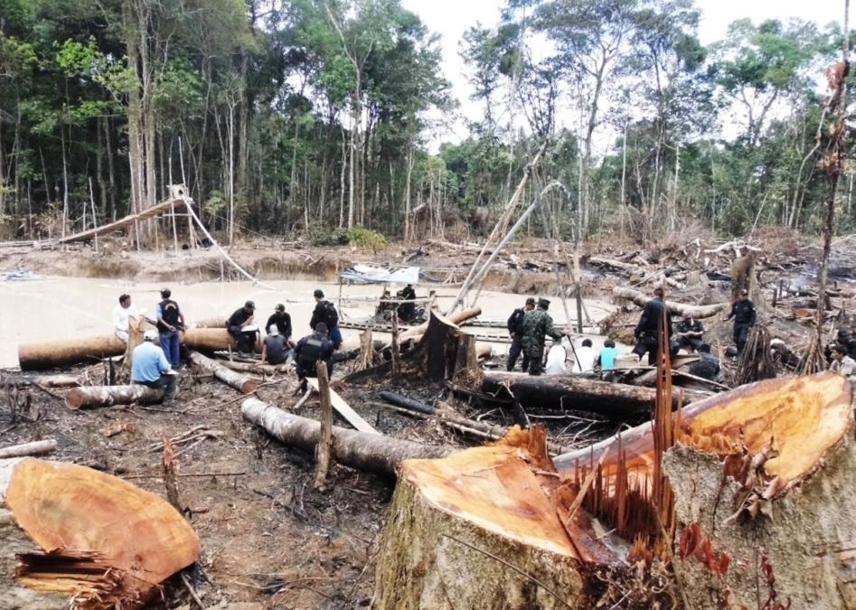 Las economías ilegales prosperan sin suficiente apoyo para combatirlas

 – El diario andino