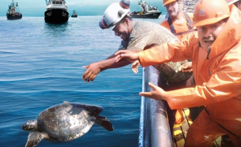 Pesca industrial compatible en espacios naturales protegidos

 – El diario andino