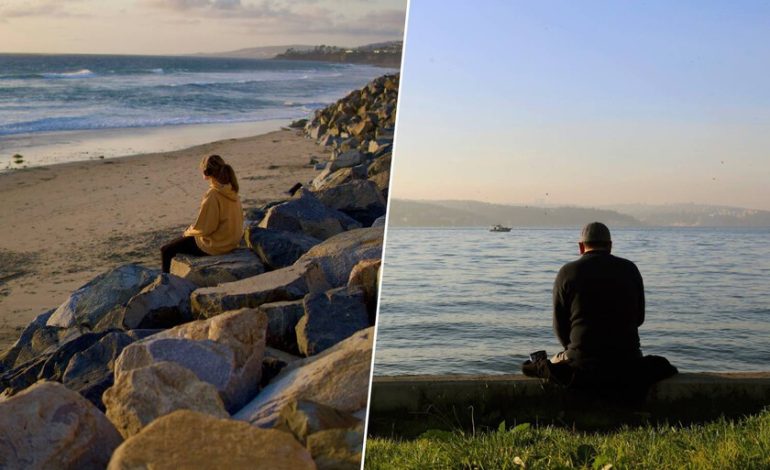 Los más conectados de la historia son también los que más sienten la soledad

 – El diario andino