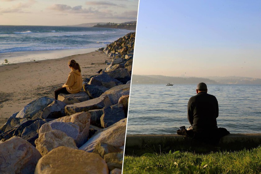 Los más conectados de la historia son también los que más sienten la soledad

 – El diario andino