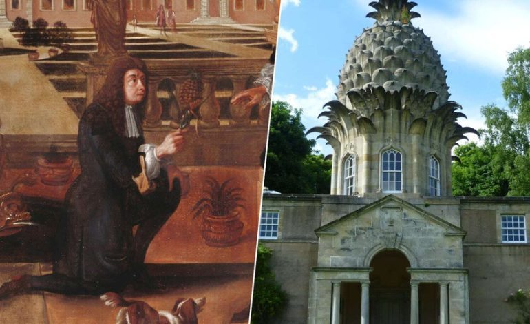 Colón introdujo la piña en Europa en 1496. 200 años después los ingleses se volvieron locos

 – El diario andino