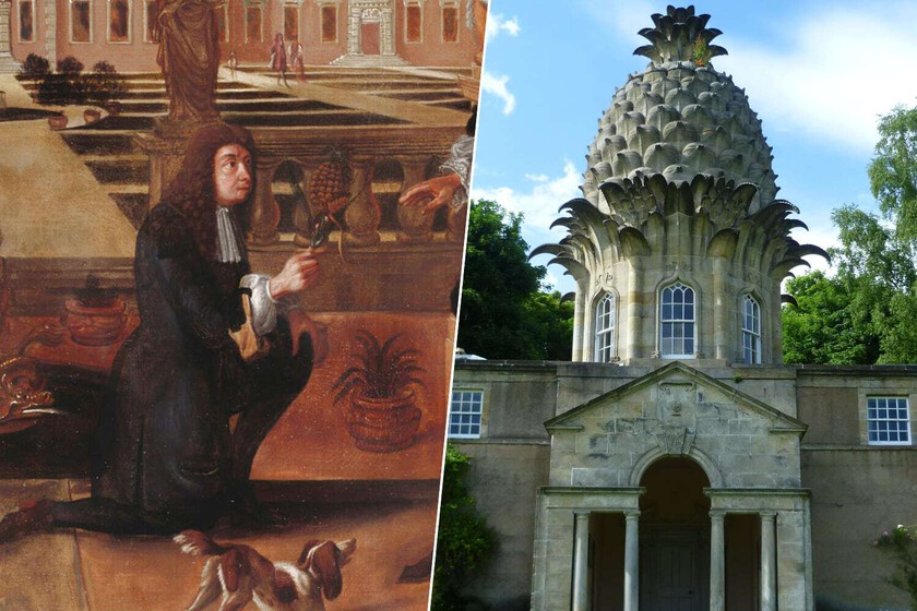 Colón introdujo la piña en Europa en 1496. 200 años después los ingleses se volvieron locos

 – El diario andino