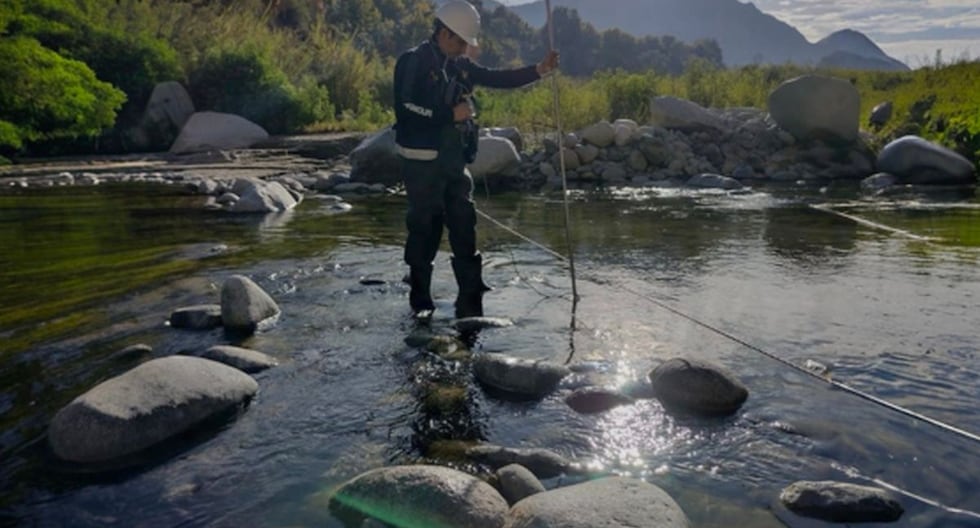 Senamhi utiliza inteligencia artificial para predecir el aumento de caudal en cuencas de alto riesgo en Perú último | PERÚ

 – El diario andino