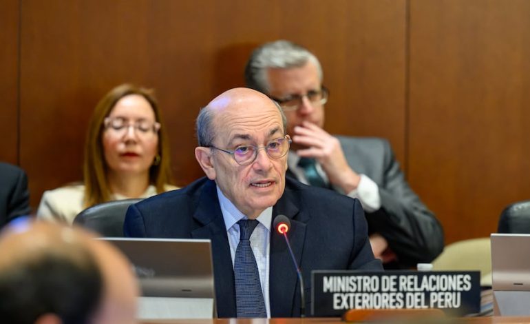 Canciller de la OEA: ¿Cuál es la propuesta de Perú para evitar que el asilo se convierta en una «herramienta para evadir la justicia»? Comentario del TLC | POLÍTICA

 – El diario andino