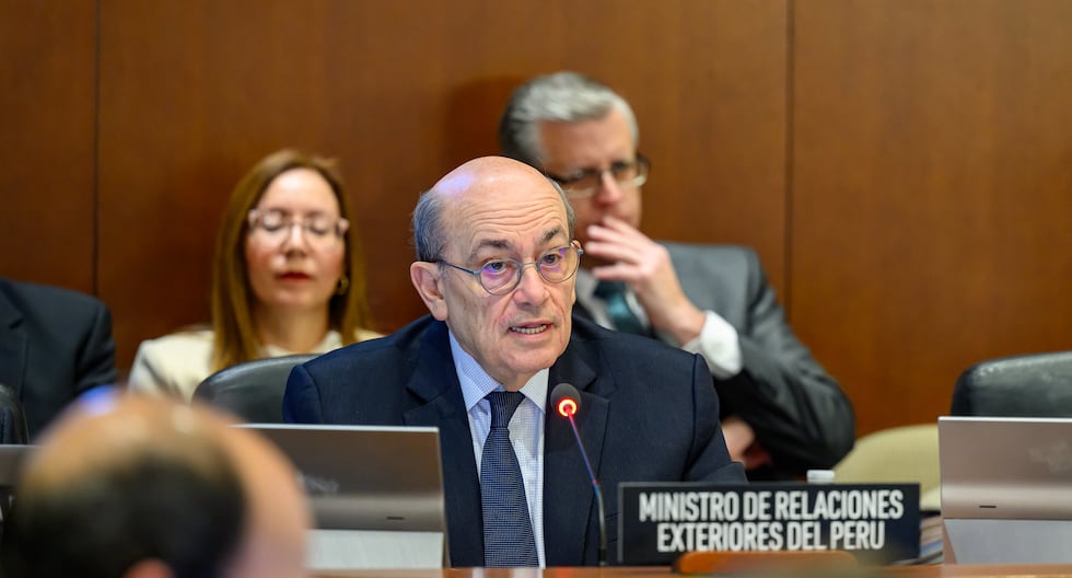 Canciller de la OEA: ¿Cuál es la propuesta de Perú para evitar que el asilo se convierta en una «herramienta para evadir la justicia»? Comentario del TLC | POLÍTICA

 – El diario andino