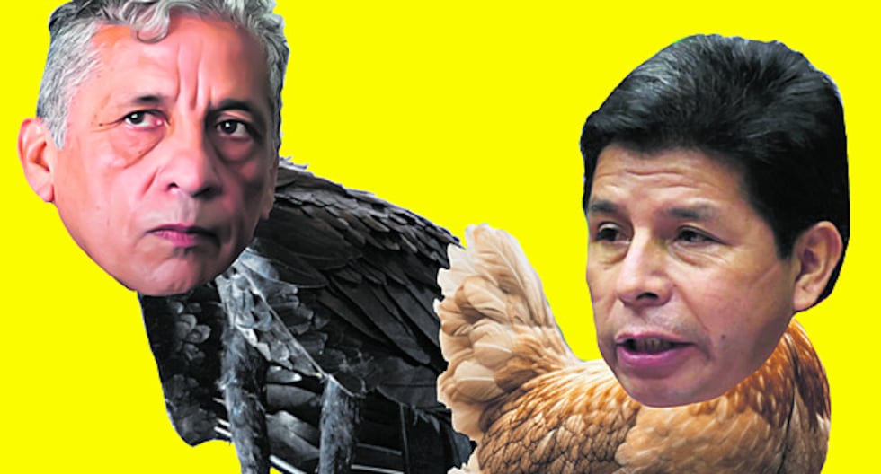 El pollo y las perdices

 – El diario andino
