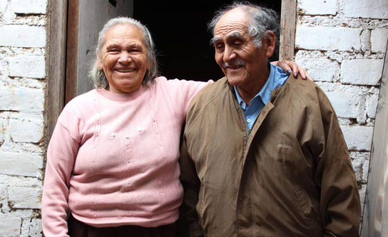 ONP comienza a pagar pensiones de diciembre con bonificaciones

 – El diario andino