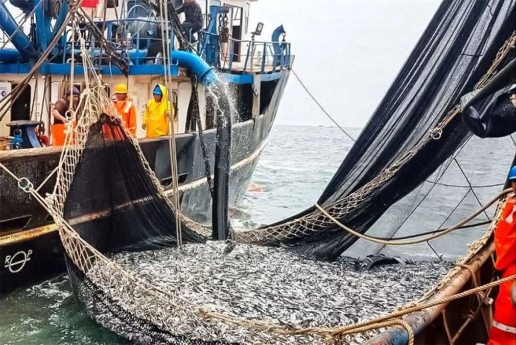 La discusión sobre la pesca en áreas naturales protegidas es ideológica

 – El diario andino