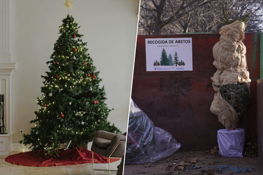 Si tenías intención de replantar tu árbol de Navidad en la montaña, Madrid tiene algo que decirte: no lo hagas

 – El diario andino