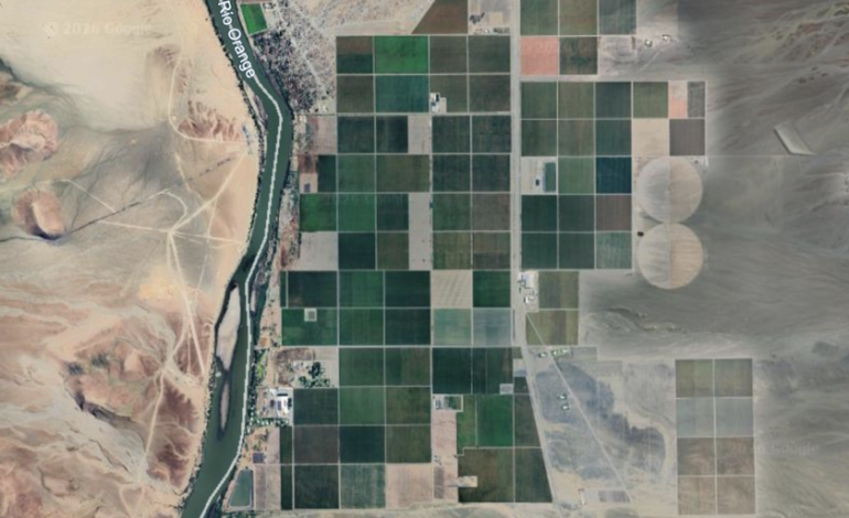 El «milagro» de Namibia para llenar de uvas los supermercados europeos

 – El diario andino