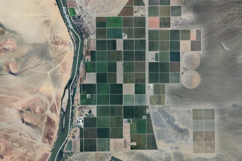 El «milagro» de Namibia para llenar de uvas los supermercados europeos

 – El diario andino