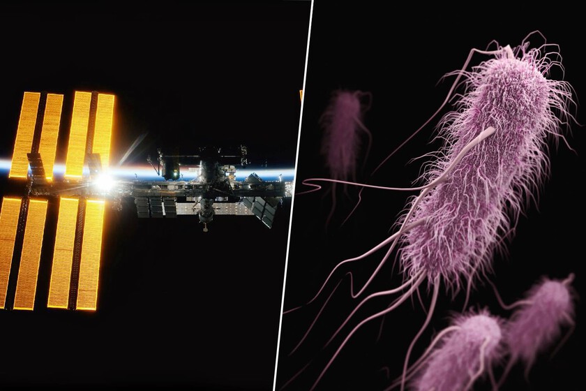 Llevamos años buscando nuevas armas contra las superbacterias. Hemos diseñado uno a 400 km de altitud.

 – El diario andino