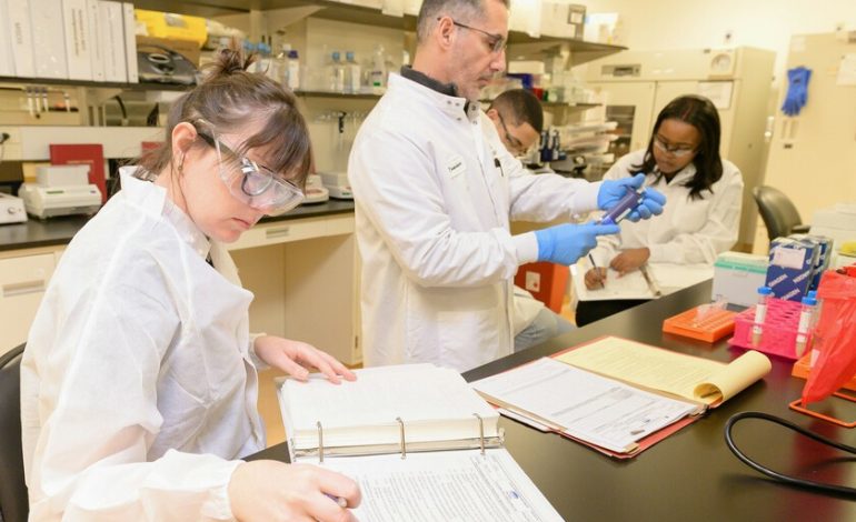 Hay una palabra que se ha multiplicado exageradamente en los artículos científicos por una razón: le gusta a ChatGPT

 – El diario andino