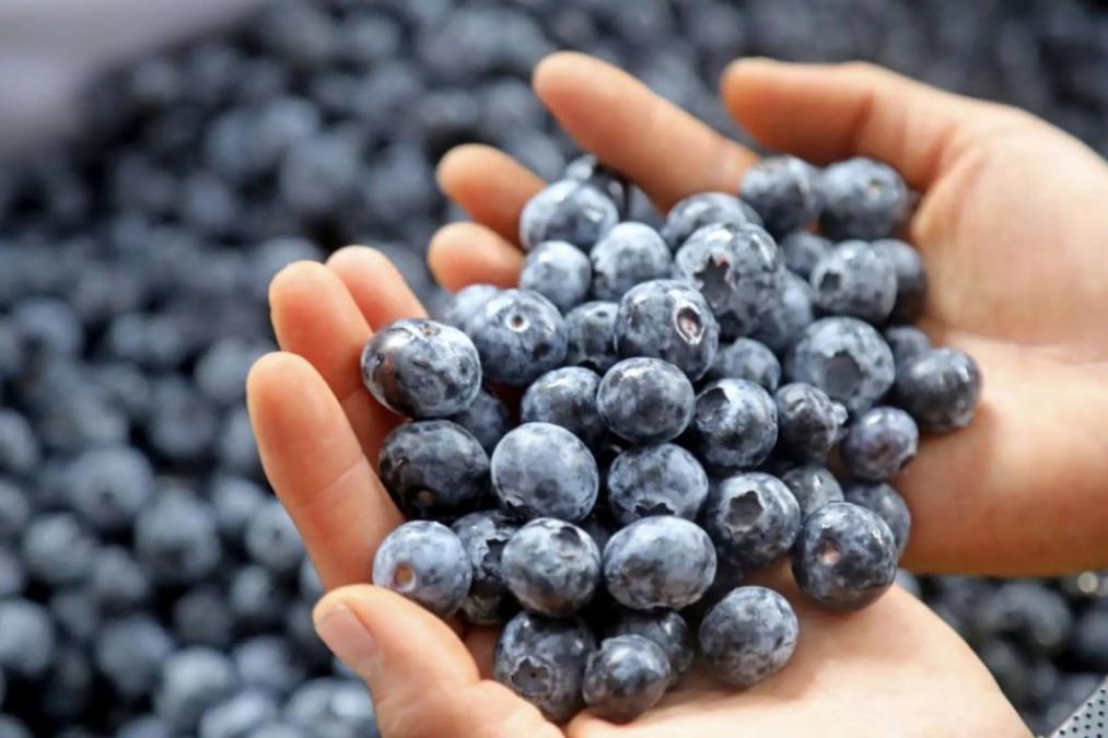 Agricultura y minería atraen empleo privado formal

 – El diario andino