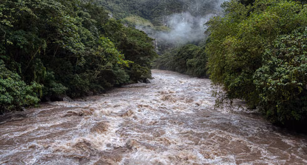 Lluvias en Perú: Cusco: Ríos Vilcanota, Mapacho y Salcca aumentan su caudal por intensas lluvias | último | PERÚ

 – El diario andino