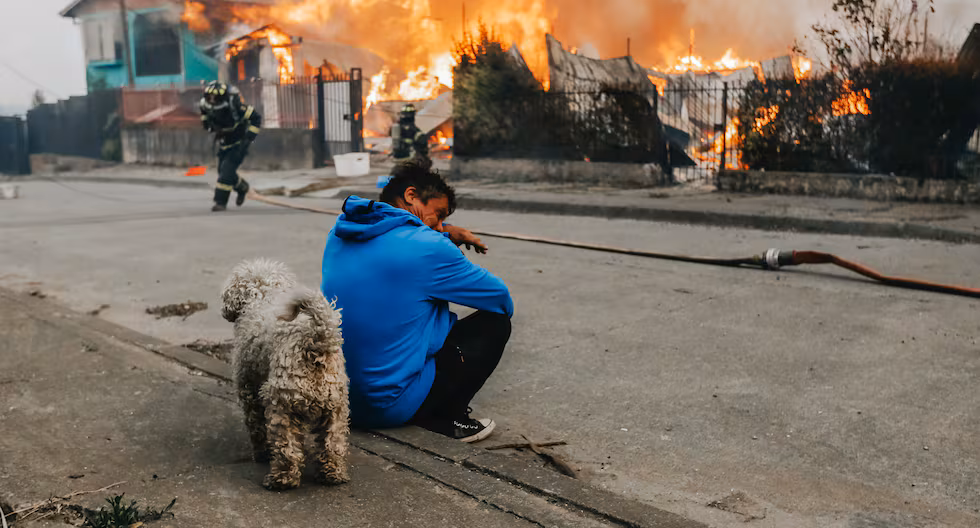 Chile: Aumenta a 18 el número de muertos por incendios en dos regiones del sur | MUNDO

 – El diario andino