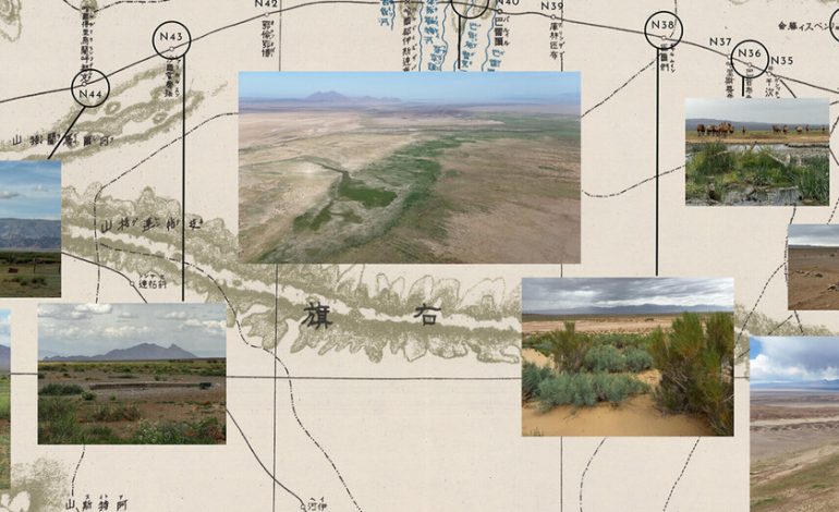 la Gran Ruta Comercial a través del desierto de Mongolia

 – El diario andino