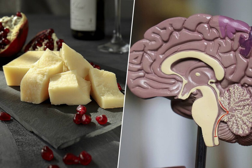 Llevamos años evitando el queso añejo por motivos de salud. Un estudio masivo sugiere que estábamos equivocados

 – El diario andino