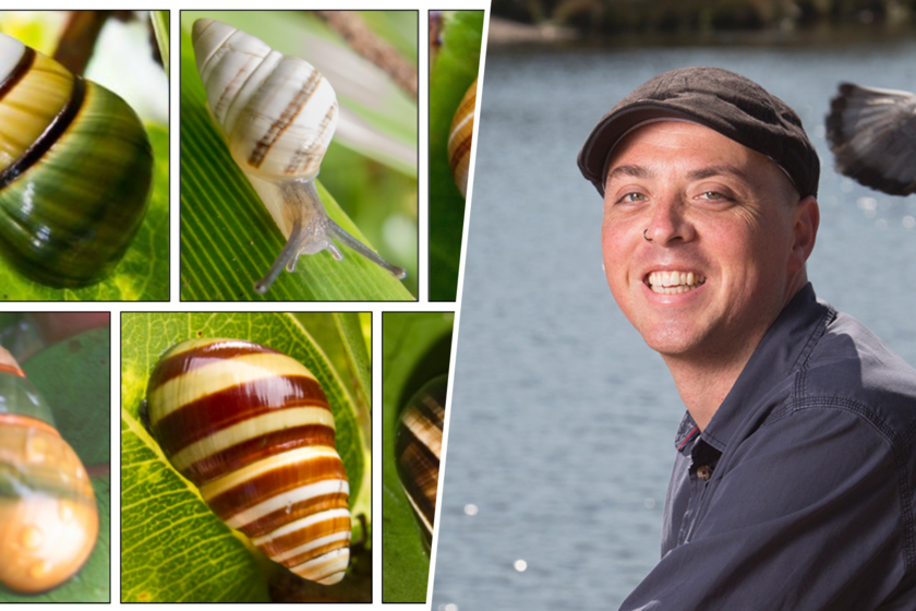 el filósofo holandés convencido de que salvar caracoles es salvarnos a nosotros mismos

 – El diario andino