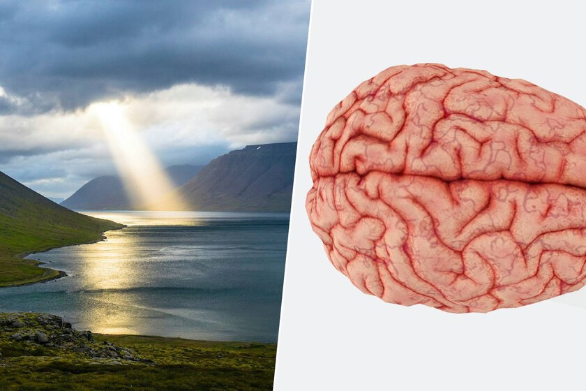 Qué le pasa a nuestro cerebro cuando oramos o meditamos, según la neurociencia

 – El diario andino