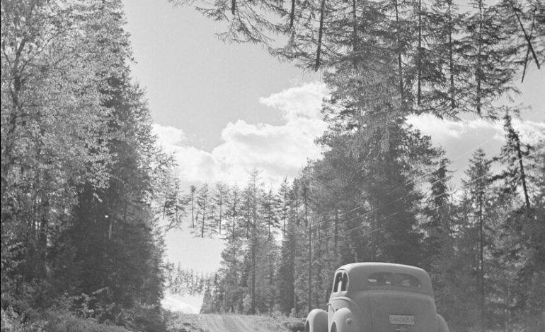 Para Finlandia proteger sus carreteras en la Segunda Guerra Mundial era fundamental, por eso se inventaron los árboles voladores

 – El diario andino