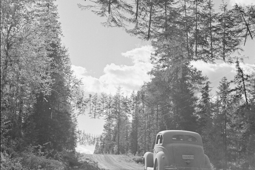 Para Finlandia proteger sus carreteras en la Segunda Guerra Mundial era fundamental, por eso se inventaron los árboles voladores

 – El diario andino