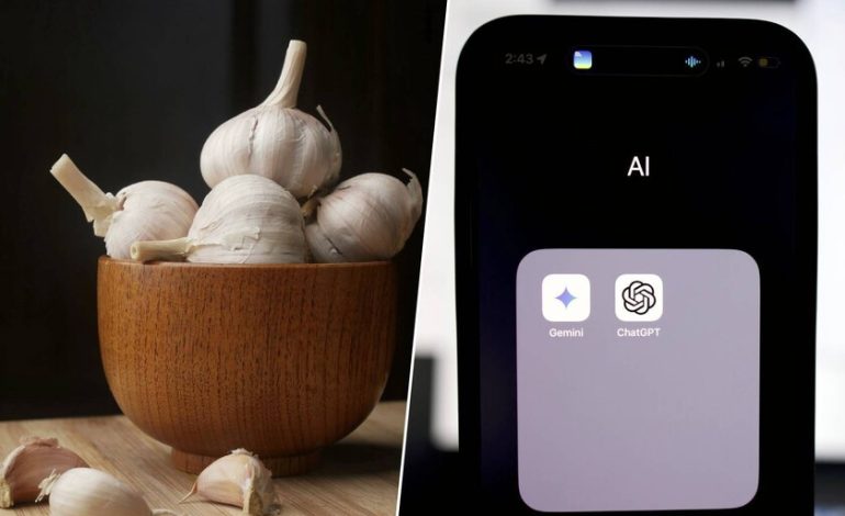 Los chatbots creen que el «ajo rectal» cura si se utiliza un tono clínico

 – El diario andino