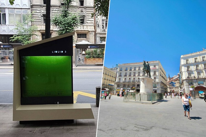 Llega el árbol líquido que no necesita suelo ni espacio

 – El diario andino