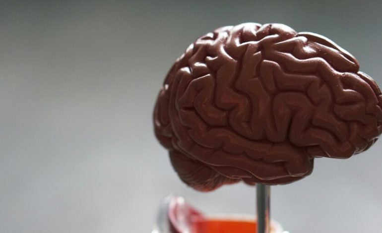 Predecir la demencia con siete años de antelación parecía imposible. Una IA con participación española lo acaba de conseguir

 – El diario andino