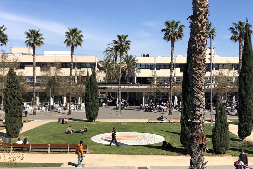 Predecir una sequía con seis meses de antelación era una utopía. La UPV lo ha conseguido con un sistema que utiliza IA

 – El diario andino