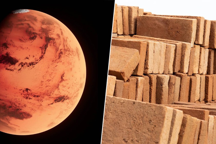 Aún no hemos colonizado Marte y ya sabemos cómo construir ladrillos para vivir allí: con orina y bacterias

 – El diario andino