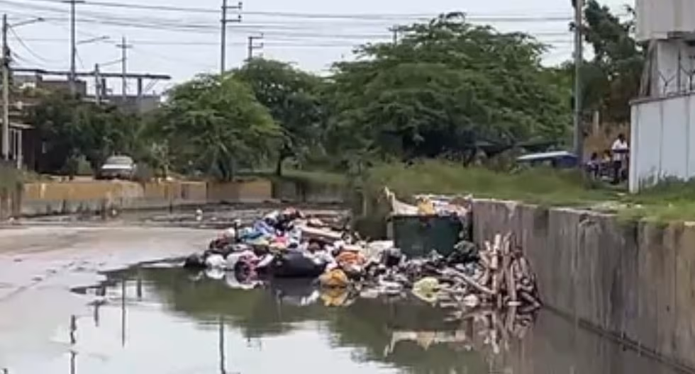Tumbes registra primera víctima mortal por leptospirosis y suma 48 casos confirmados | el último

 – El diario andino