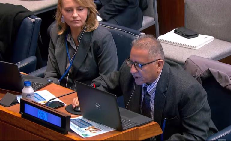 INEI: Perú lidera el debate global sobre modernización estadística en Naciones Unidas

 – El diario andino