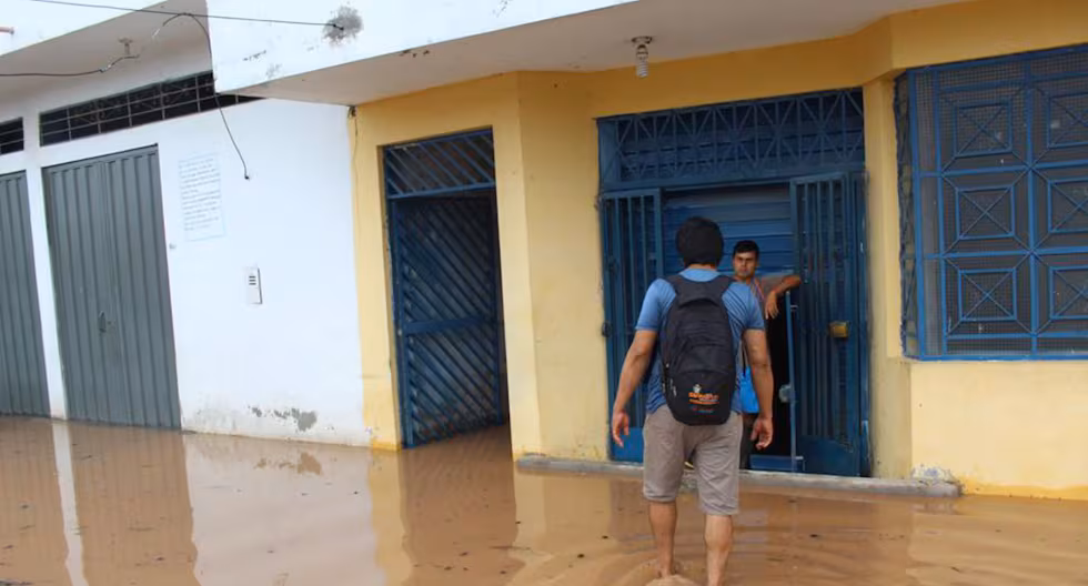 Leptospirosis: tres muertes y más de 800 casos reportados a nivel nacional | El último

 – El diario andino