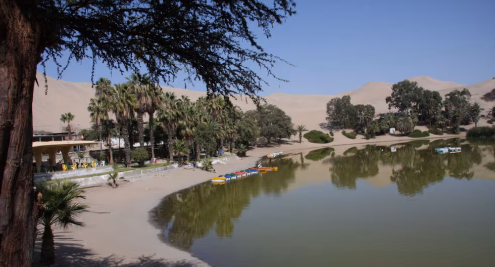 Huacachina reconocida por National Geographic como uno de los oasis más bellos del mundo y único en Sudamérica

 – El diario andino
