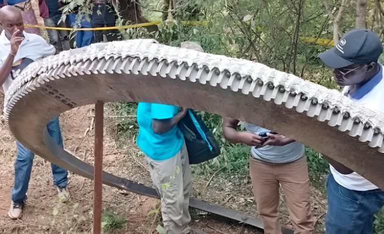 Un anillo de metal de media tonelada cayó del cielo en Kenia. Más de un año después todavía no sabemos de dónde vino

 – El diario andino